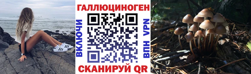 блэк спрут онион  Чехов  Галлюциногенные грибы мицелий 