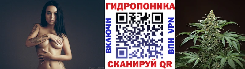 Шишки марихуана семена  как найти наркотики  гидра как войти  Чехов 